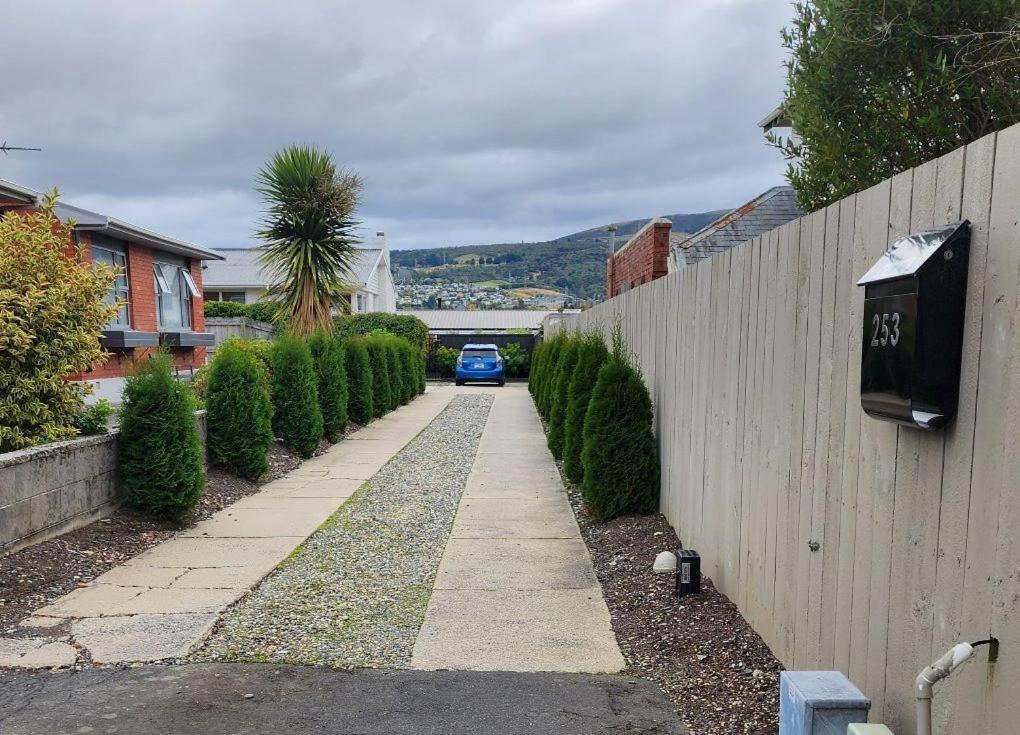 253 On Highgate Apartment Dunedin Exterior foto